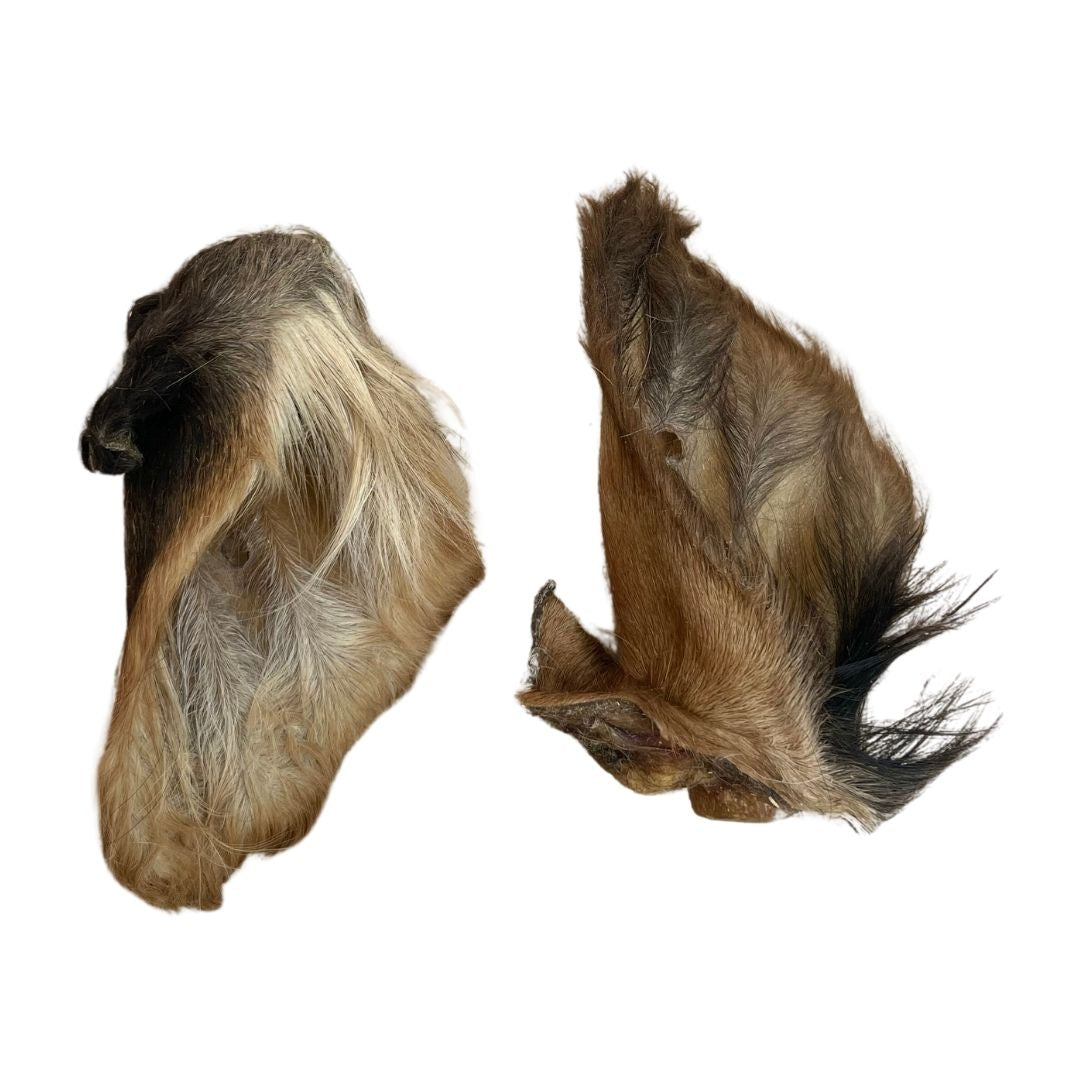 Hairy Treats