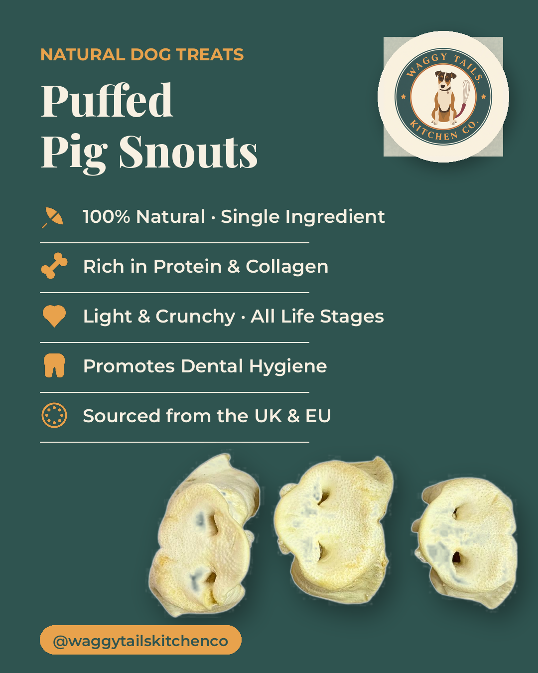 Puffed Pig Snouts (5 Pack)
