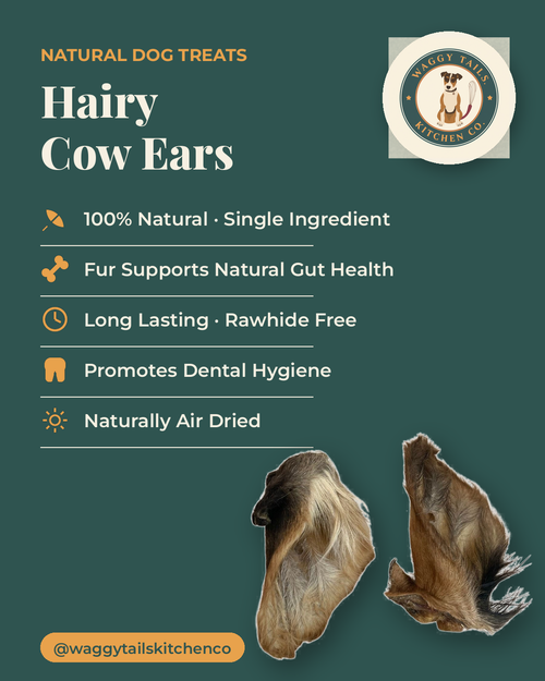 Hairy Cow Ears (5 Pack)