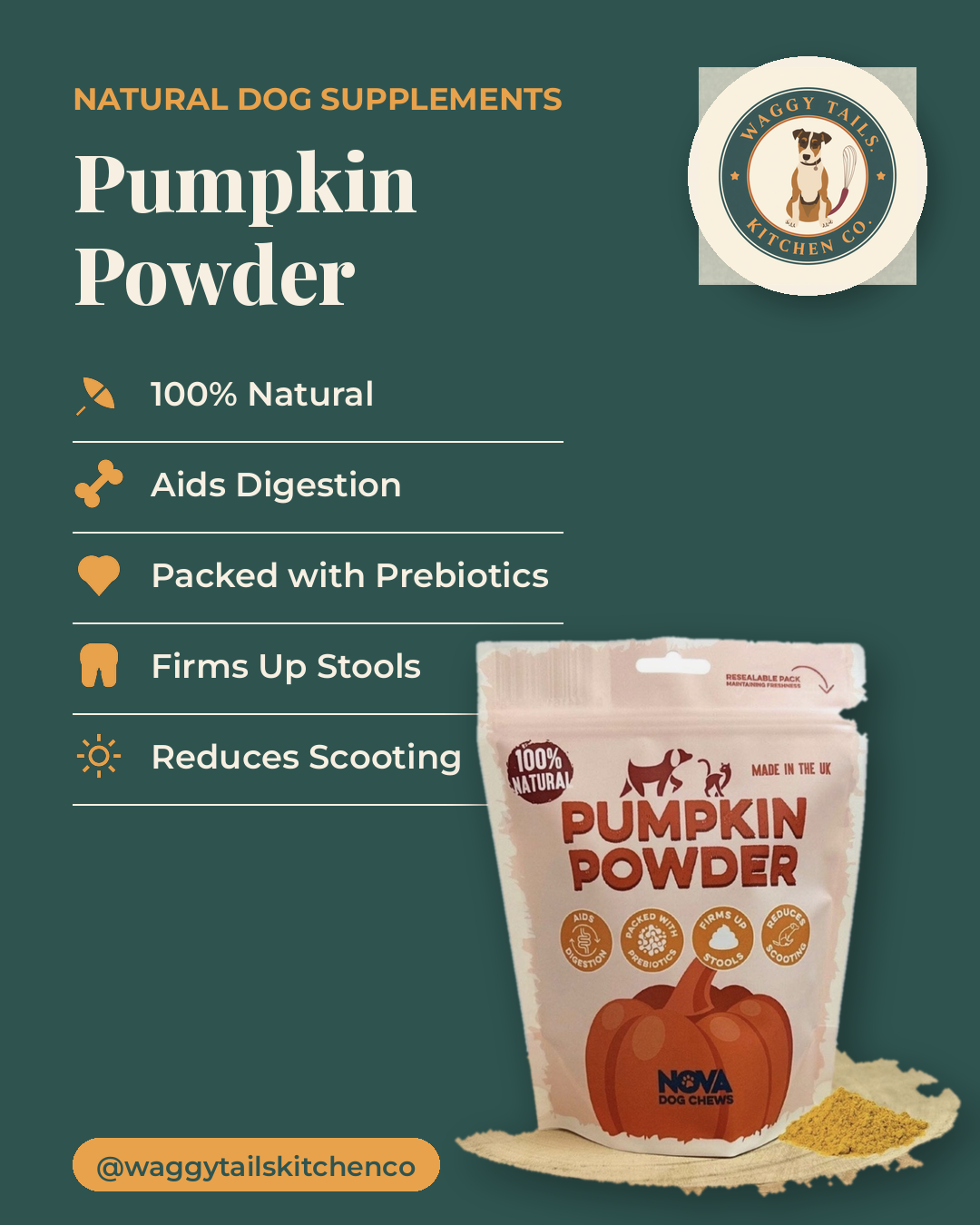 Nova Pumpkin Powder 200g