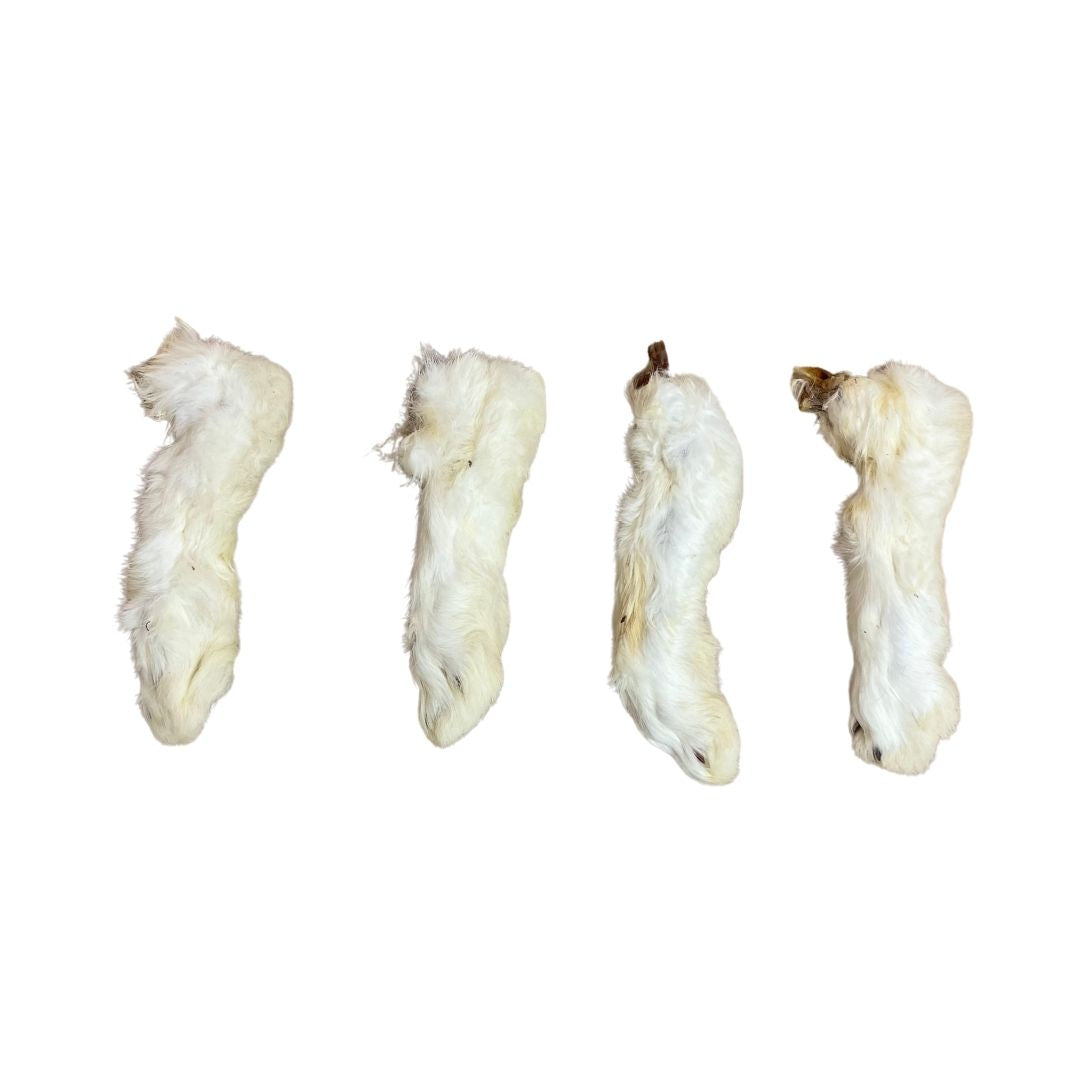 Hairy rabbit feet