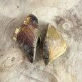 Unfilled hoof