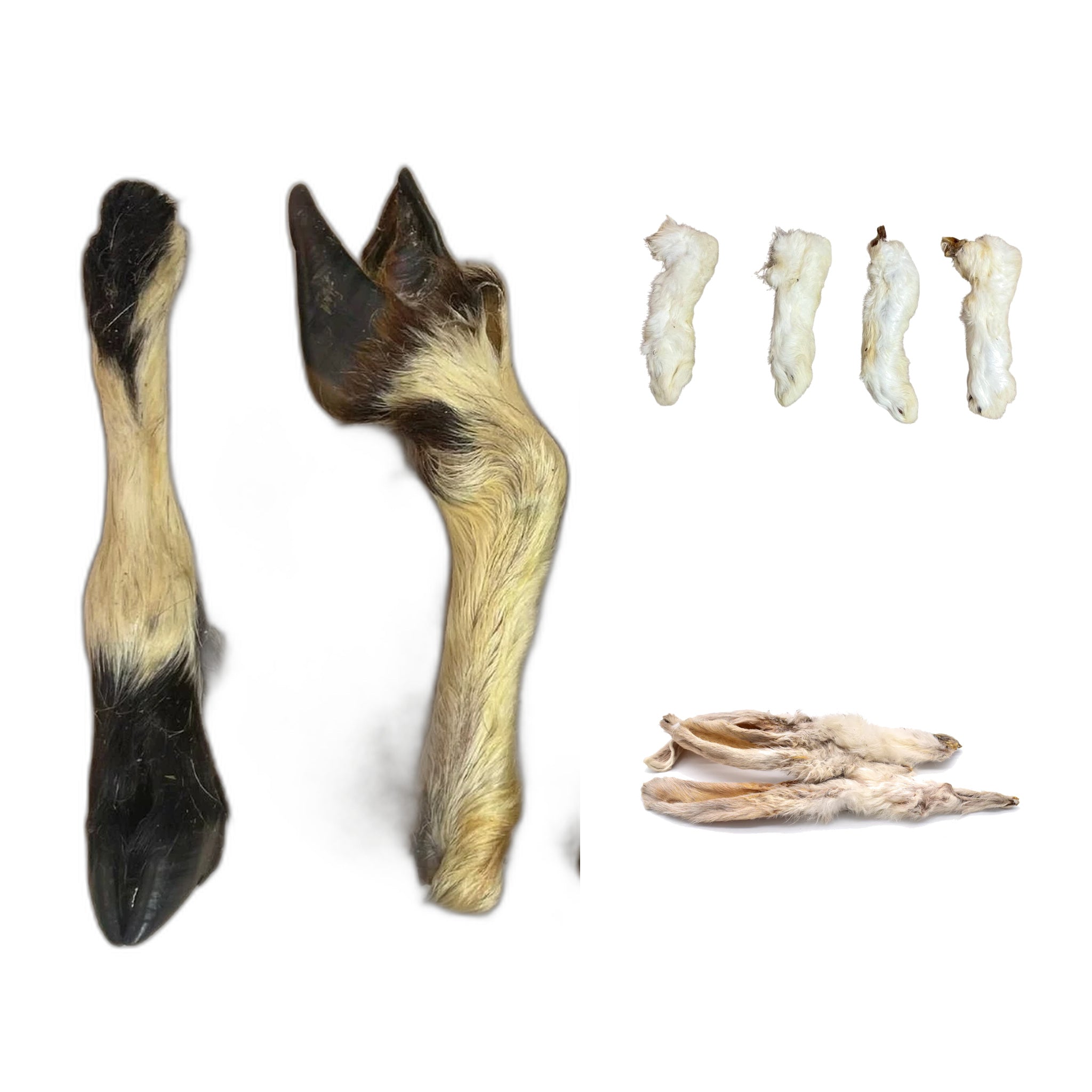 Hairy Trio Bundle — Rabbit Ears, Rabbit Feet & Lamb Leg
